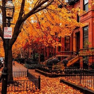 🍁🍂🌼 🙏🏻Have a Blessed Day  🍁🍂🌻🙏🏻